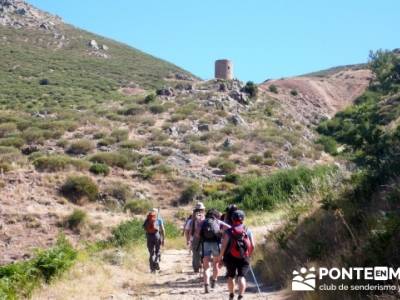 Pinar de Canencia y Mina de Plata del Indiano;excursiones desde madrid de un dia;senderismo navacerr